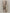 Schal Muster in Beige/Taupe  Art. 6502