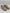 Sneaker/Boots Beige Fell Art. 6399