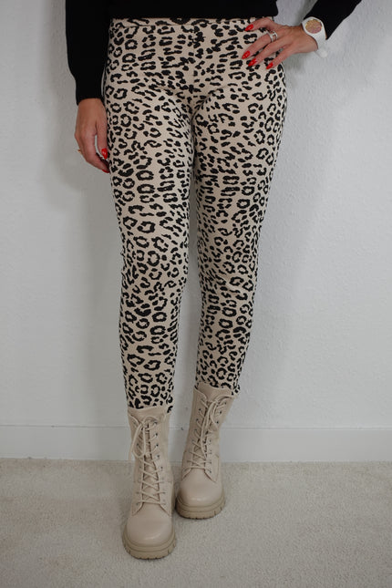 Leggings mit Leoprint in versch. Farben Artikel 5272