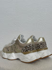 Sneaker Leo/Gold