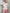 Pullover Kurzarm Feinstrick versch. Farben Artikel 5752