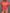 T-Shirt mit Aufdruck in versch. Farben Artikel 5779