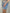 Jeans Shorts mit Taschen-Details Artikel 5897