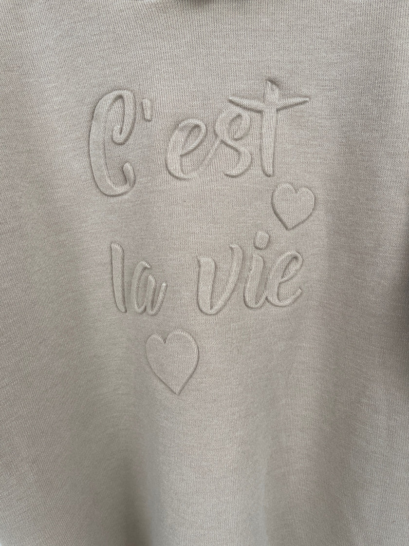 Hoodie Feinstrick 3D Schrift in verschiedenen Farben Artikel 6464