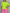 Pullover Kurzarm Soft in versch. Farben Artikel 6065