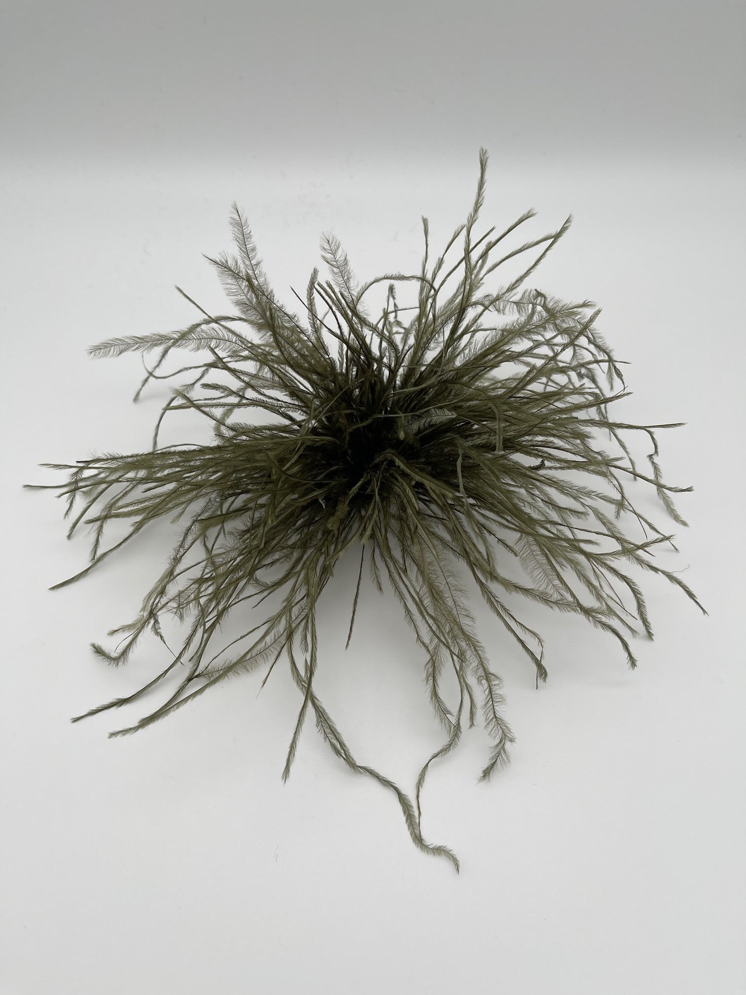 Federbrosche in versch. Farben Artikel 6222