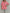 Bluse Musselin gestreift Artikel 6086